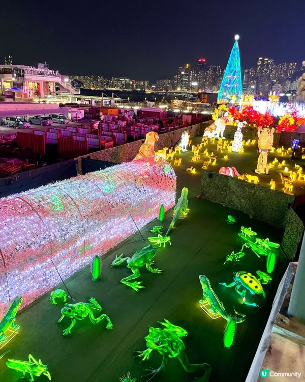 🦕 灣仔會展站|恐龍光影展登陸香港!入場費+必打卡位全攻略
