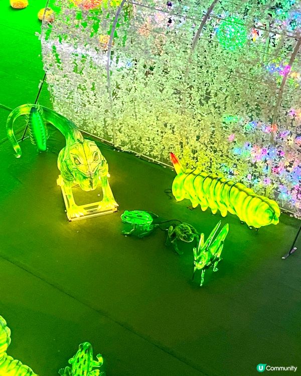 🦕 灣仔會展站|恐龍光影展登陸香港!入場費+必打卡位全攻略