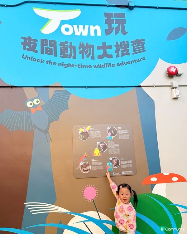 天水圍超正濕地遊樂場 🌳🌊 免費放電！