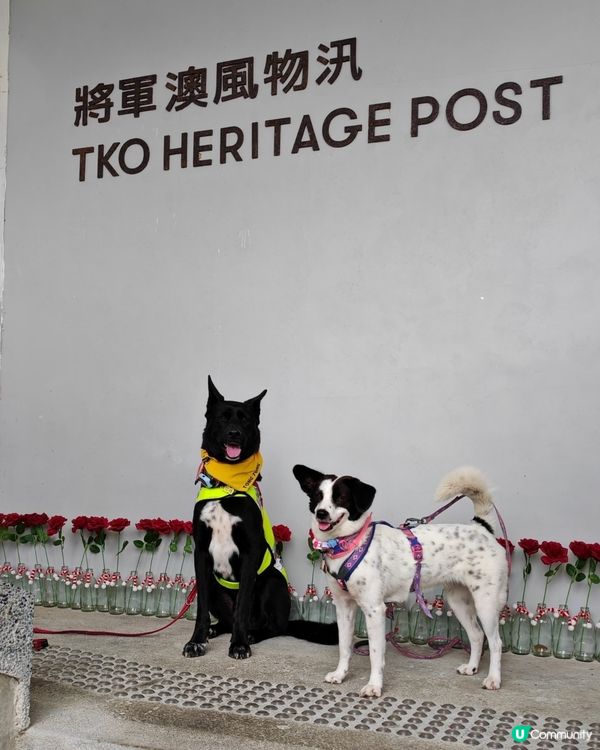 享受悠閒時光🥰