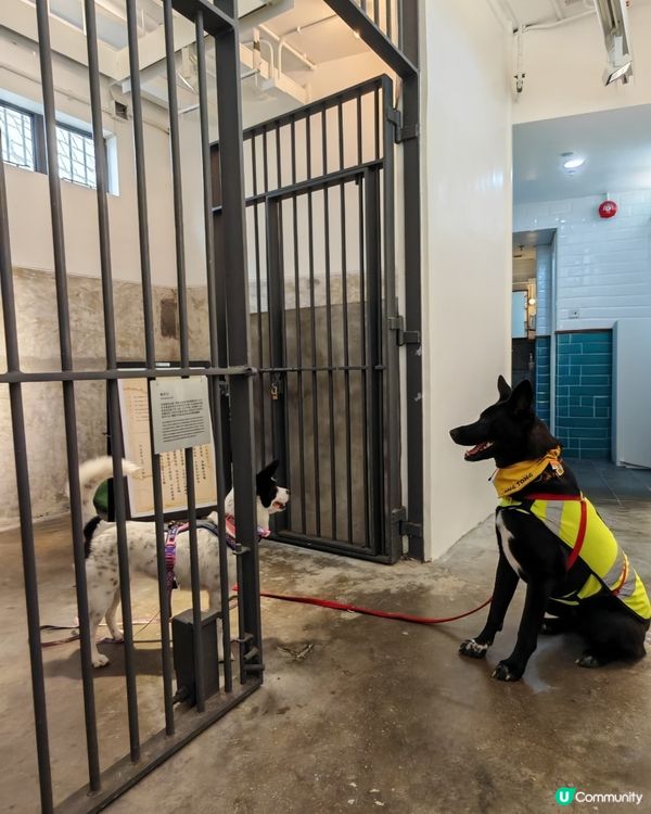 享受悠閒時光🥰