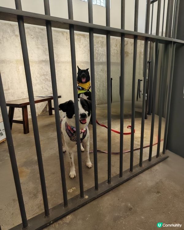 享受悠閒時光🥰