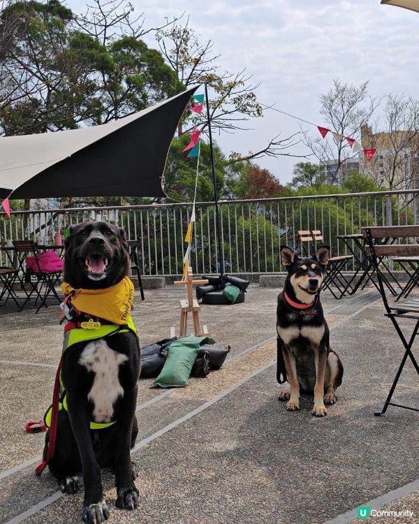 享受悠閒時光🥰