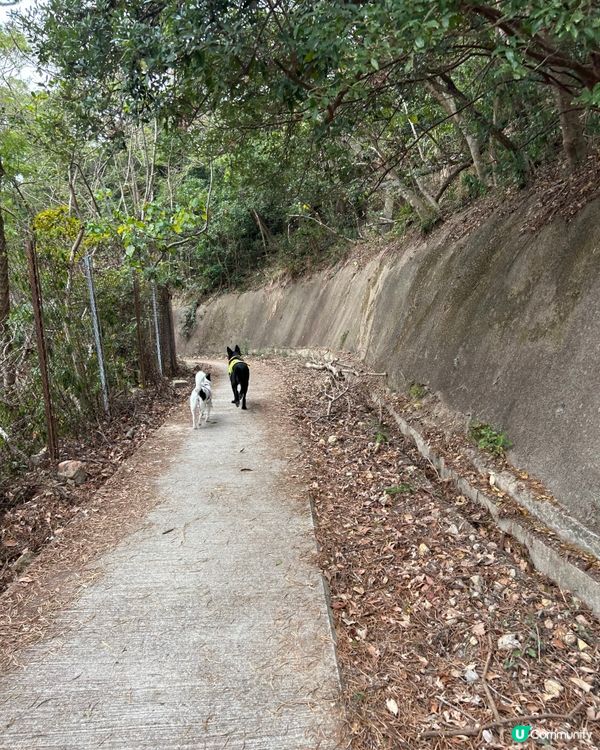 享受悠閒時光🥰