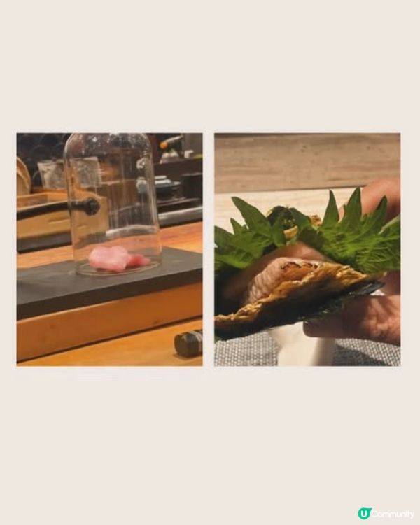 觀塘980蚊超正高廚師發辦