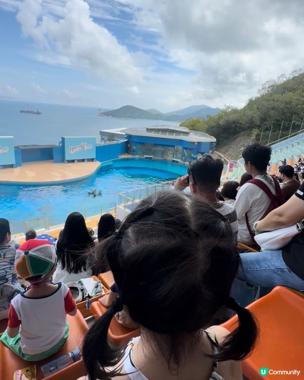 帶小朋友嚟海洋公園,大人細路都一樣玩得咁開心,香港海洋公園係...