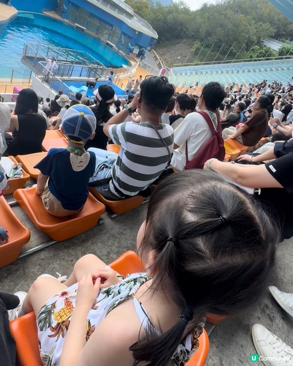 帶小朋友嚟海洋公園,大人細路都一樣玩得咁開心,香港海洋公園係...