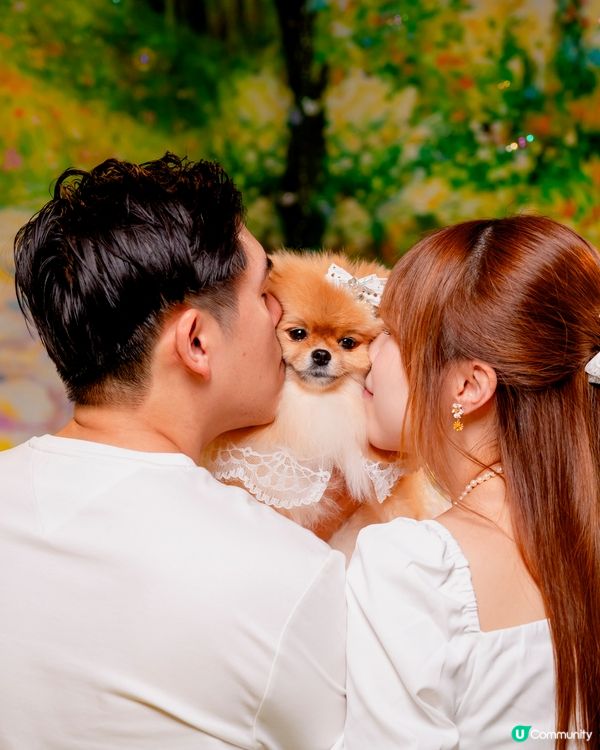 Summer影相好去處🐶📸🌊