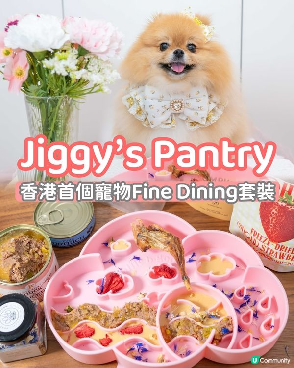 寵物食飯都要有儀式感！米蘇蘇最愛fine dining🐶🌸🥗