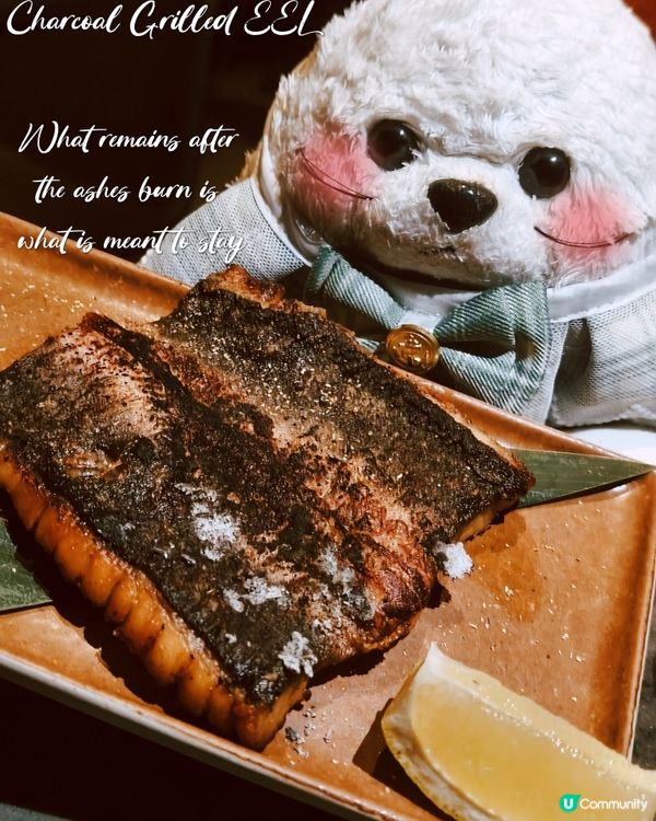 Foca - 幻💎 - AOAO