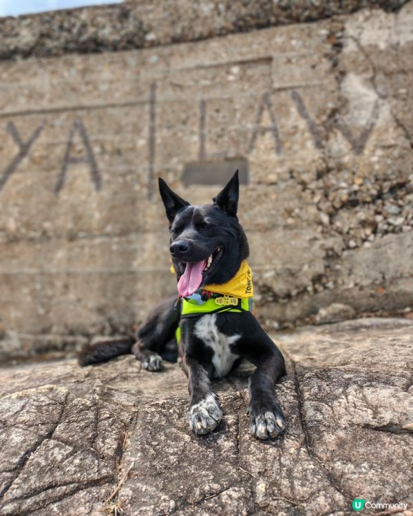 行魔鬼山好Chill 🤩🎒