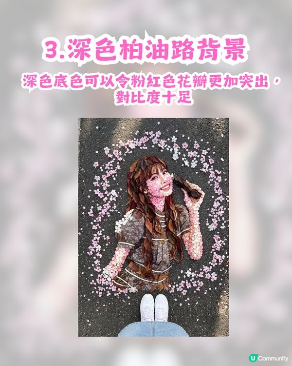 AI 免費自製專屬「櫻花瓣」教學 🎀 附AI指令！