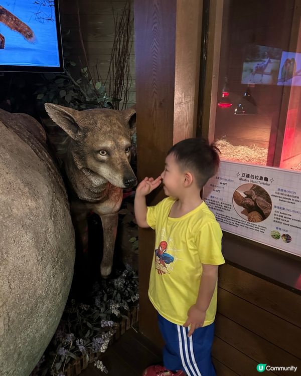 4月12日的挪亞方舟之旅