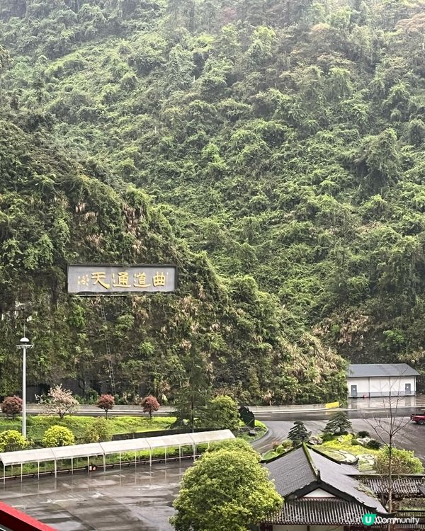 #春日漫步去行下張家界真係好心曠神怡,大家有機會都去吓,欣賞...