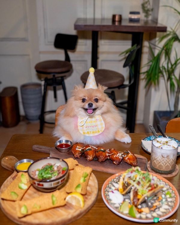 毛孩街慶典後，食墨西哥菜慶生🇲🇽🌮🐾