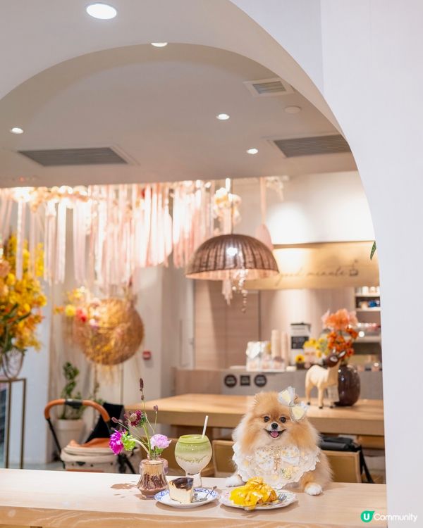 合和pet friendly打卡餐廳

合和商場掃貨🐕🌸🥤