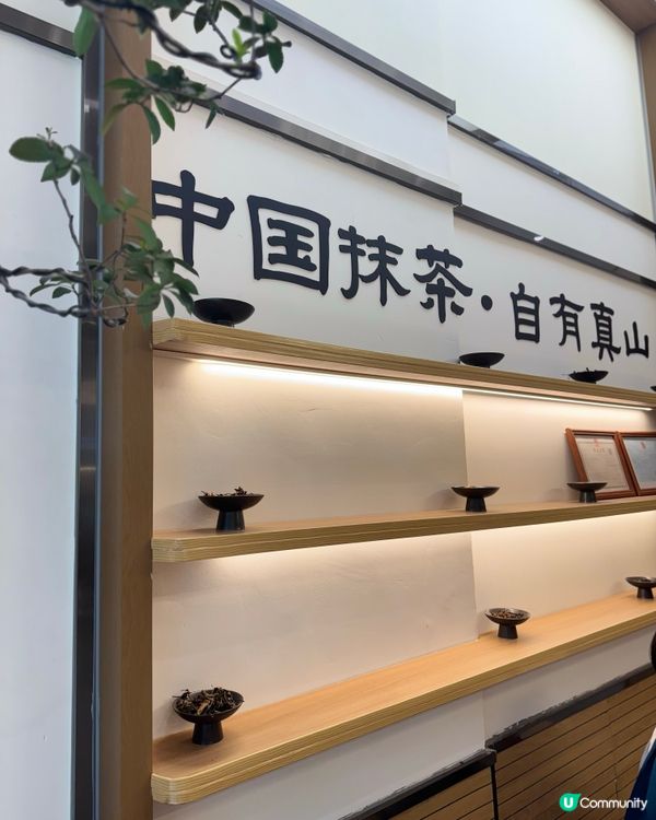 抹茶控注意‼️ 深圳抹茶天花板 - 小丛山 🍵