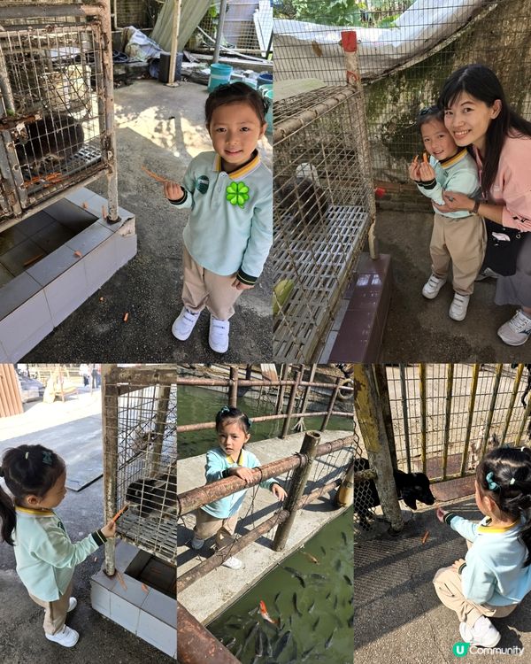 大棠有機生態園 🪵🦚🪴🛝🎠