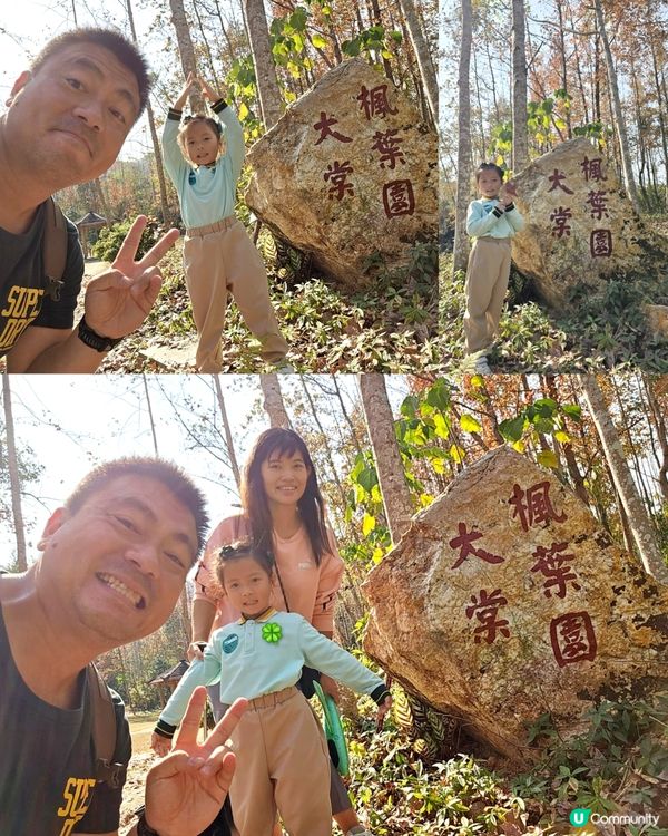 大棠有機生態園 🪵🦚🪴🛝🎠