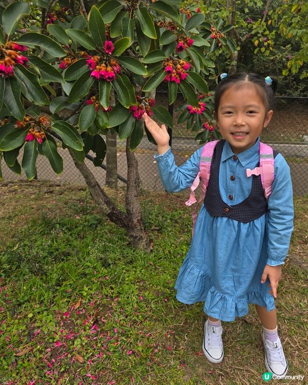 🐰 家長日及展覽 🖼🎨