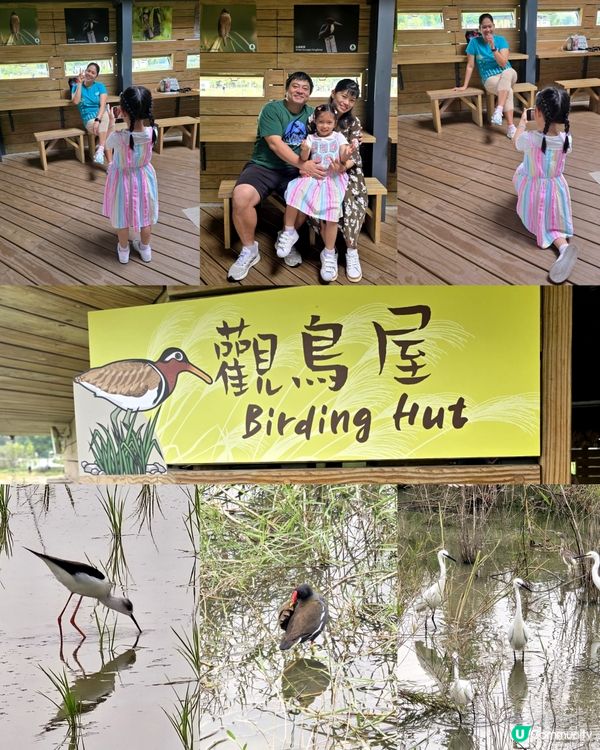 親親大自然日 🌾🍅🥦🦋🪻🐦