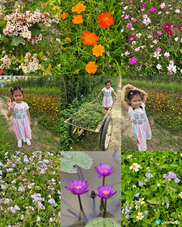 親親大自然日 🌾🍅🥦🦋🪻🐦