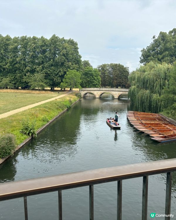 劍橋春日遊！🌸康河撐篙賞垂柳🛶
