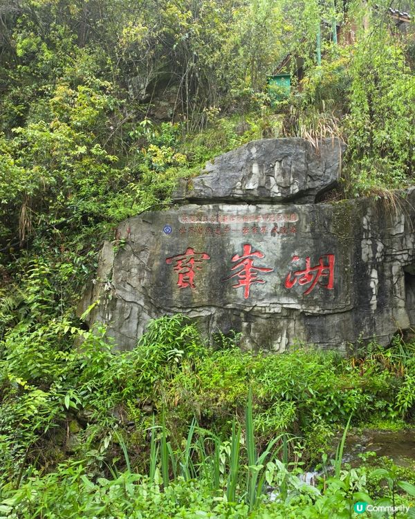 寶峰湖好治癒🏞️😌