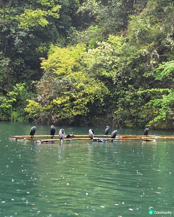 寶峰湖好治癒🏞️😌