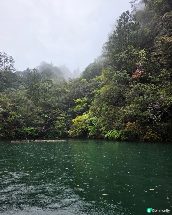 寶峰湖好治癒🏞️😌