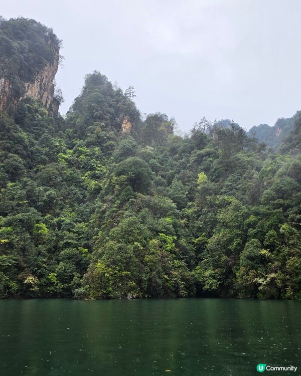 寶峰湖好治癒🏞️😌