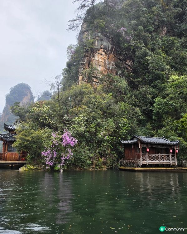 寶峰湖好治癒🏞️😌