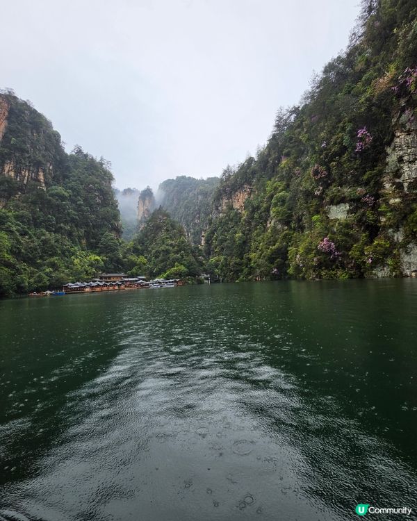 寶峰湖好治癒🏞️😌
