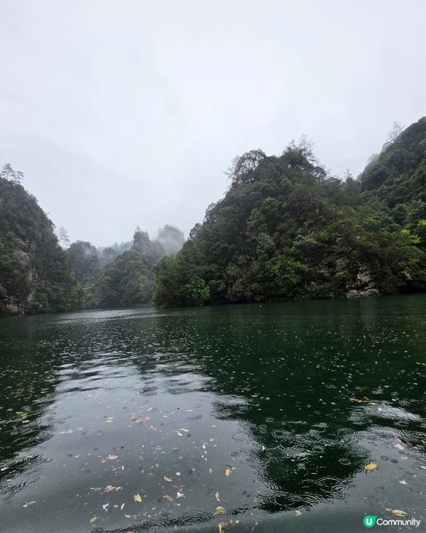 寶峰湖好治癒🏞️😌