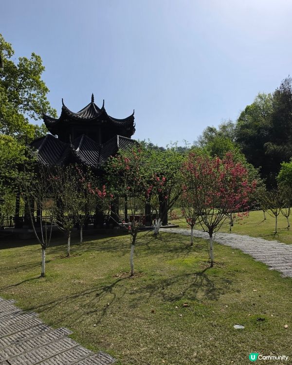 桃花源
走進課本裡的桃花源，原來真的會令人想停低腳步