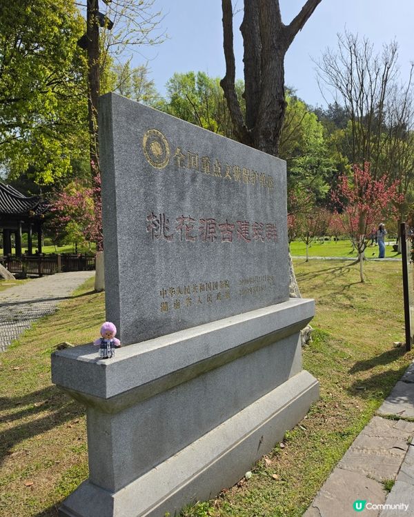 桃花源
走進課本裡的桃花源，原來真的會令人想停低腳步