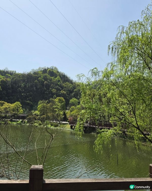 桃花源
走進課本裡的桃花源，原來真的會令人想停低腳步