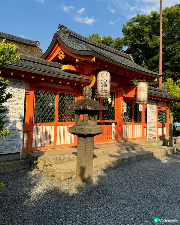 千年宇治神社🌟適合學業求籤🙏