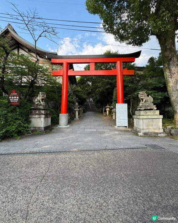 千年宇治神社🌟適合學業求籤🙏