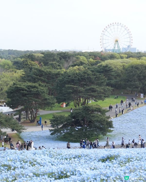 國營ひたち海浜公園