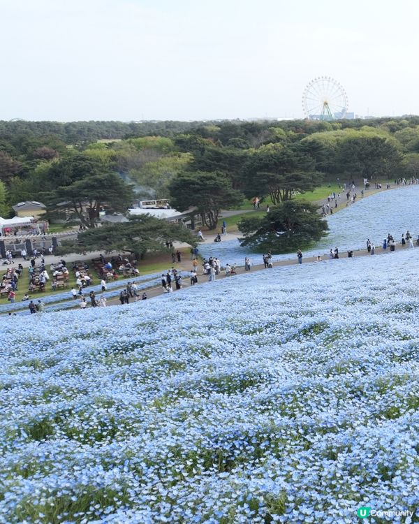 國營ひたち海浜公園