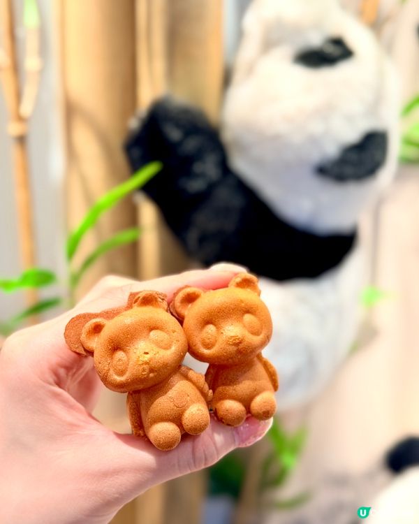 熊貓咖啡☕️萌到爆！銅鑼灣必試🤤