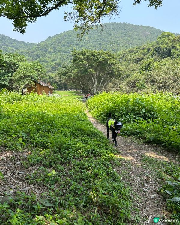 輕鬆路線2小時遊 ☀️🌳