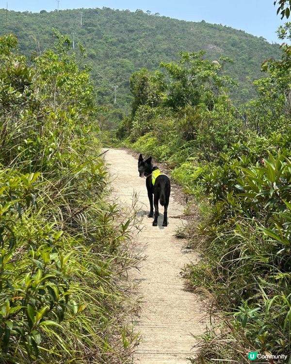 輕鬆路線2小時遊 ☀️🌳