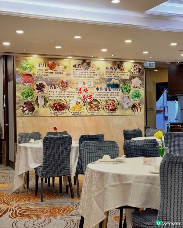 望月軒上環嘆中菜🍽️✨