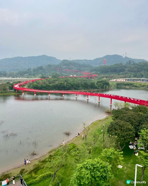 紅橋美景🥰4公里任行!