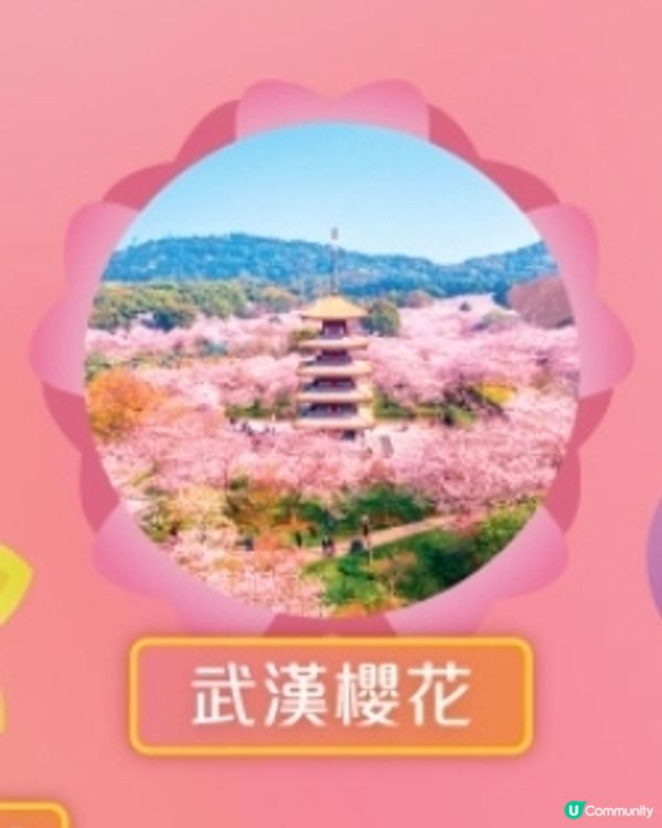 要戰勝試探