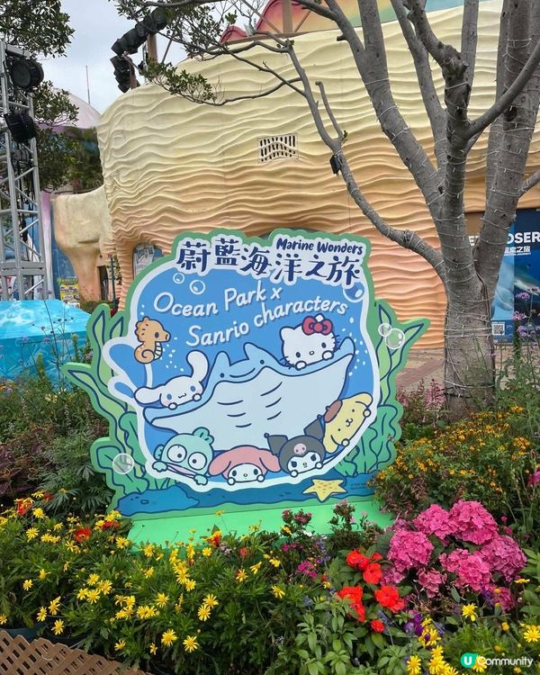 海洋奇觀