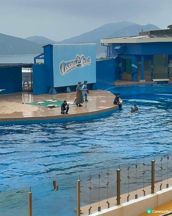 海洋奇觀