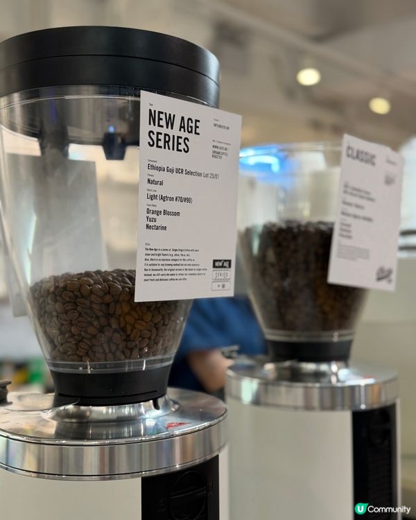 北角Cafe☕️ 天鵝駱駝拉花💖🤤